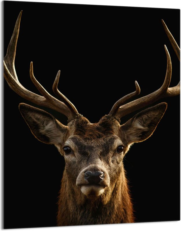 Glasschneidebrett 40x52 Hirsch