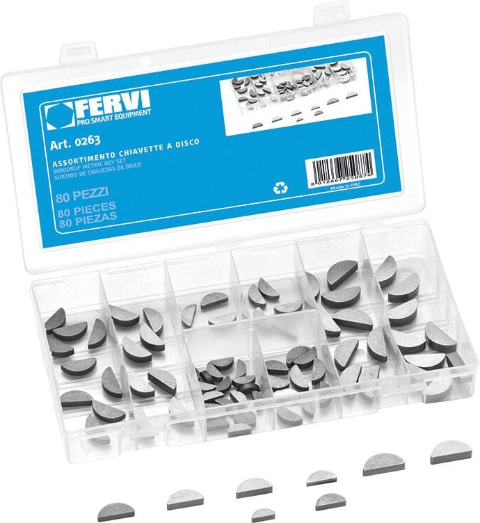 100 tlg federkeile sortment set scheibenfeder Fervi 0263