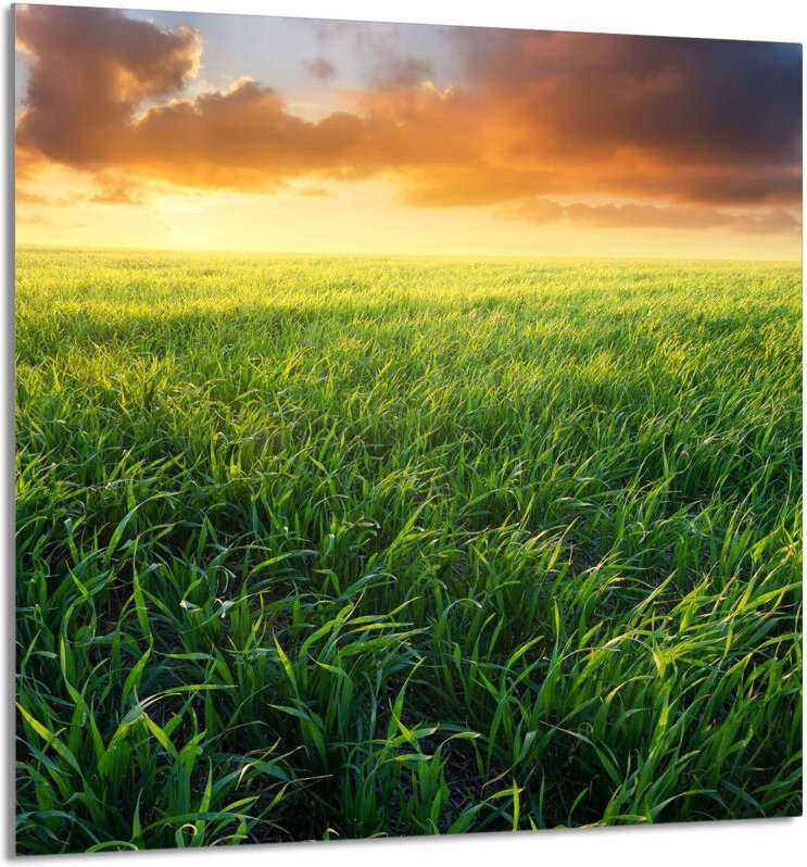 GLASPLATTE FÜR KÜCHE 60x65 Ansicht