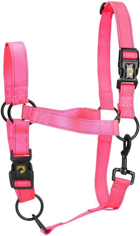 Excellent horse premium halfter s fohlen pink