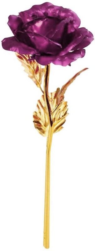 Eternity rose - lila mit goldenem stiel