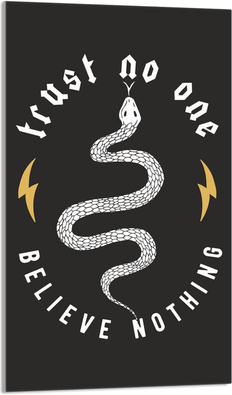 Glasschneidebrett 30x52 Schwarz