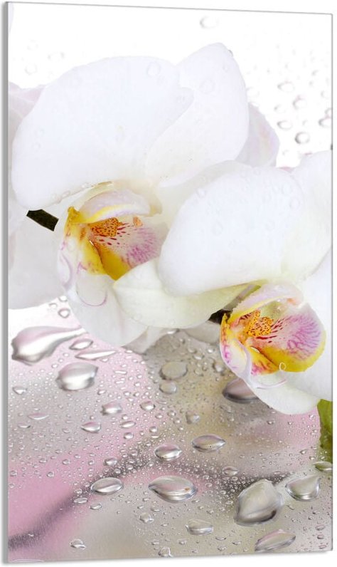 Glasschneidebrett 30x52 Orchidee