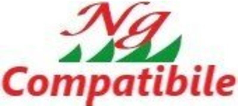 NGK BPR6H KOMPATIBLE Zündkerze – 009159