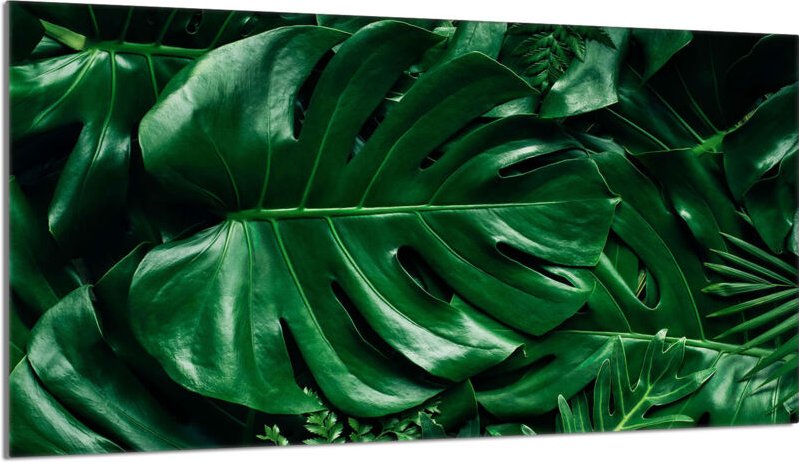 Glas-Herdplattenschutz 90x52 Monstera