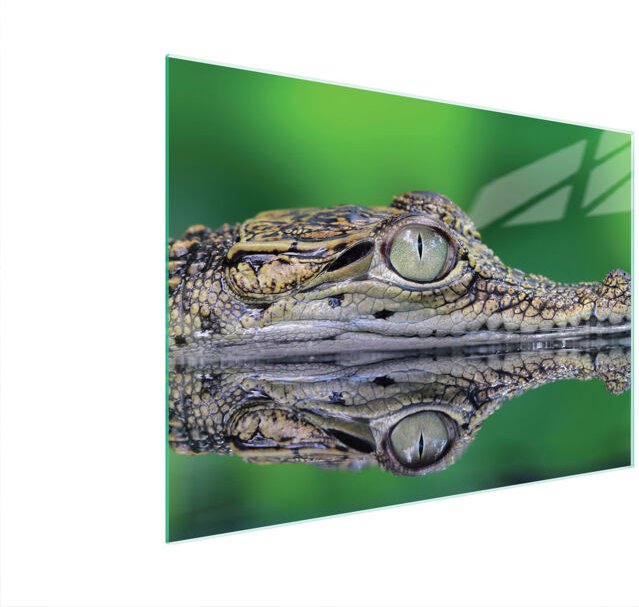 Glasschneidebrett 40x30 Krokodil