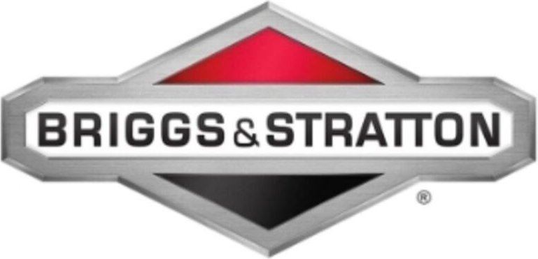 Kit regolatore molla minimo ORIGINALE BRIGGS & STRATTON 594918