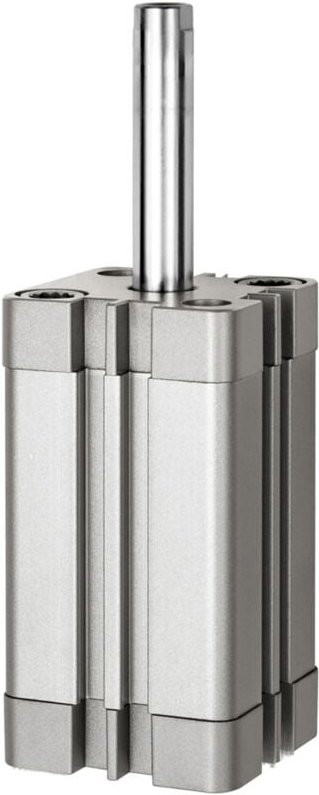 Riegler Kompaktzyl., einfachw., IG, ausgefür, Ø20, Hub25, M5, ISO21287