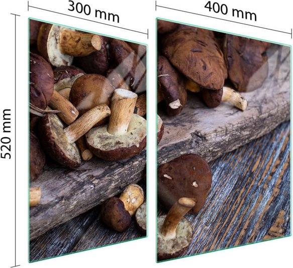 GLASSCHUTZPLATTE FÜR HERD 70x52 PILZE