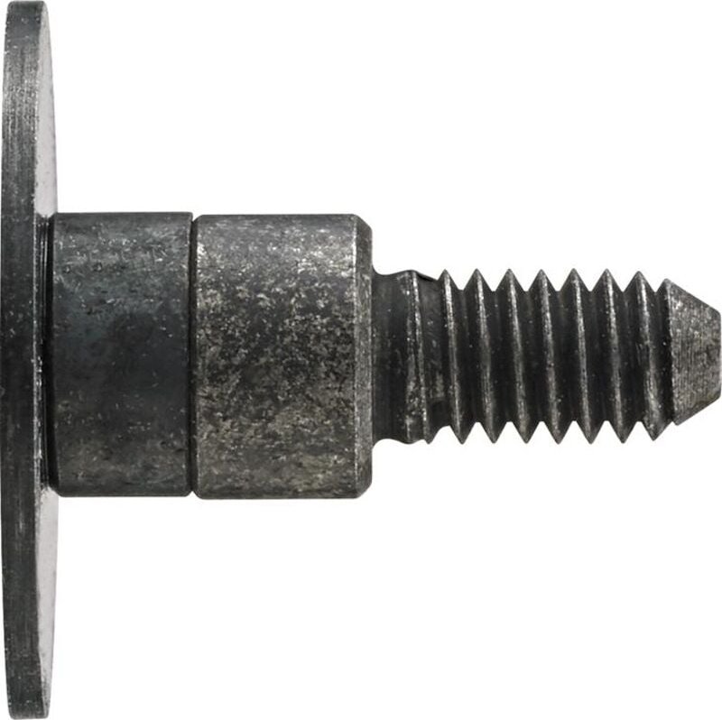 Messeinsatz Stahl Teller 10x0,5mm Käfer