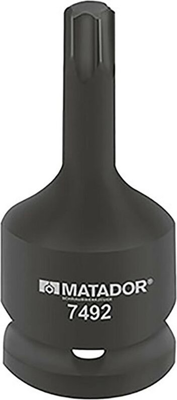 Kraft-Schraubendreher-Einsatz, torx®, 12,5 mm (1/2'): tx 2