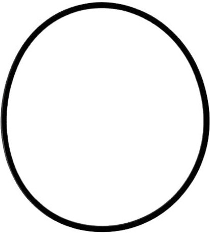 KONVERTERKOLBENDICHTUNG 115,57 mm x 3,17 mm x 2,03 mm 722,6 722,9