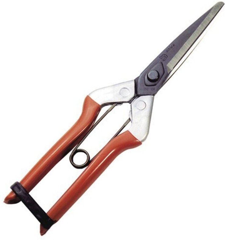 Schere Wolfpack zur Knoblauchernte p 1702 210 mm.