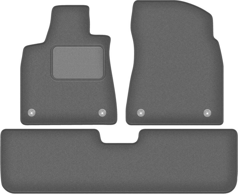 Graphit-Fußmatten für: Lexus RX IV 0 (2015-2022)