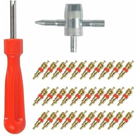 Aiperq - ymyny 32-teiliges Reifenventilschaftwerkzeug – Ventileinsatzentferner für Autoersatz, 30-teiliger Ventileinsatz...