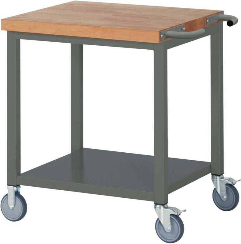 Fahrbare Werkbank Premium mit Ablageboden BxTxH 750x700x880 mm - Stier