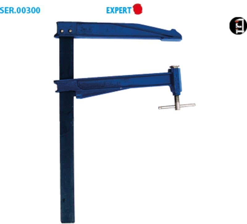 Schraubzwinge mit Pumpe – breite Ausladung Expert Packung mit 2 Ausladungen 300 Abschnitt 40 x 10 Spannkraft 800