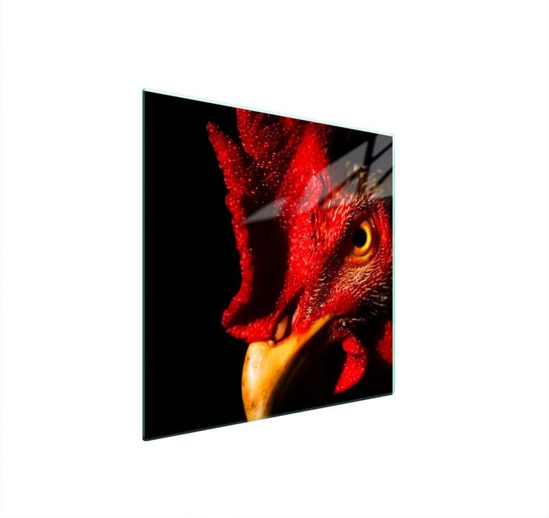 GLASSCHUTZPLATTE FÜR HERD 50x52 HAHN