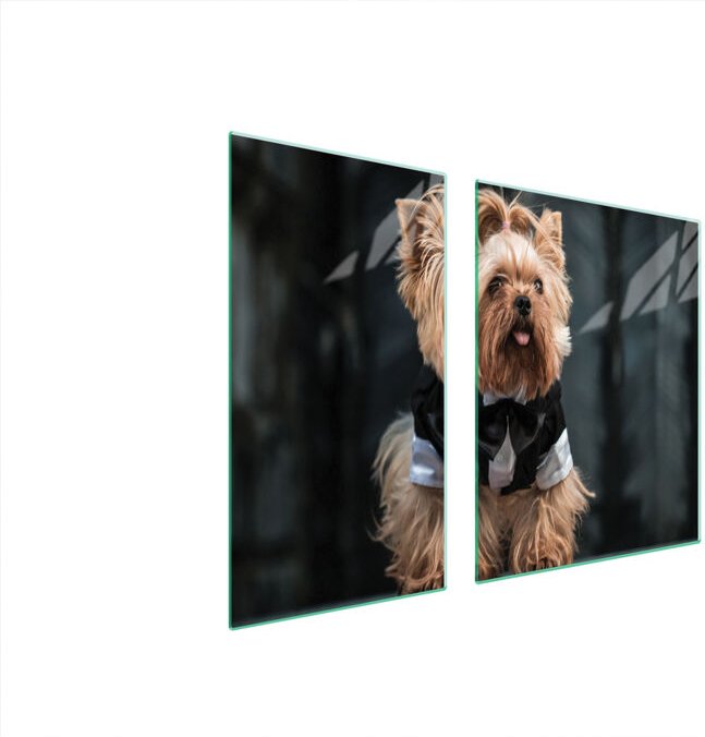 GLASSCHUTZPLATTE FÜR HERD 90x52 HUND