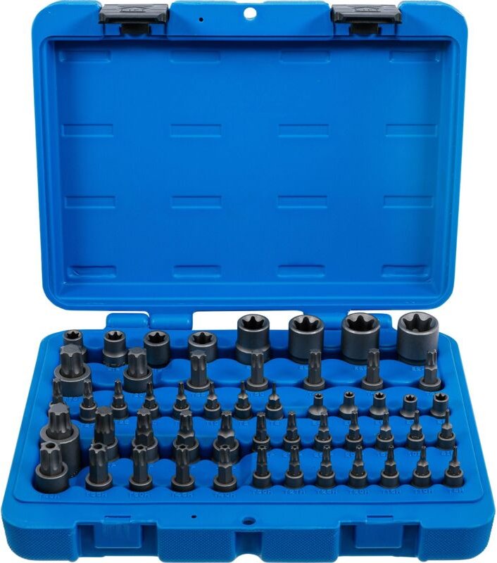 Bit-Einsatz- und Steckschlüssel-Einsatz-Satz E-Profil / T-Profil (für Torx) / T-Profil (für Torx) mit Bohrung / TP-Profi...