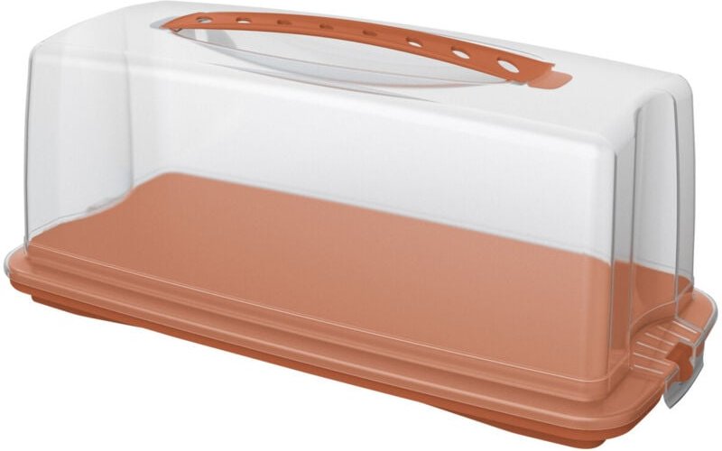 Rotho Kuchenbehälter Fresh 36 x 17 cm koralle Tortenbox