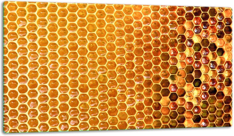 Glasschild Schneidebrett 52x30 Honig