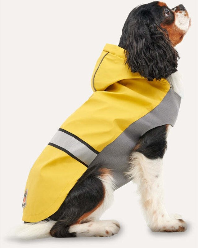 Gooeez reflektierender regenmantel mit kapuze xl gelbgrau 8858246