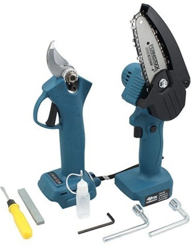 Ferrestock - Set Astschere+Mini-Kettensäge 21v s-b