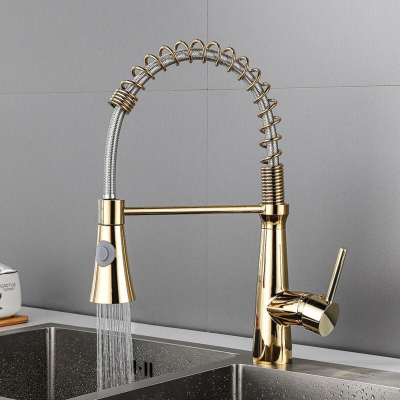 Wasserhahn Küche mit Spiralfeder, 360°Schwenkbare Spültischarmaturen, Küchenarmatur 2 Sprühmodi - Gold