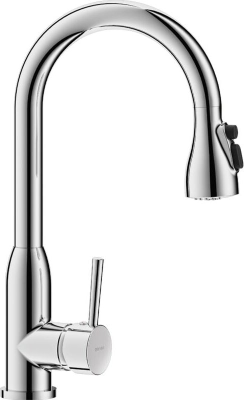 Delabie Einhebelmischer mit Schwenkauslauf H.215 L.200 + Auszugbrause