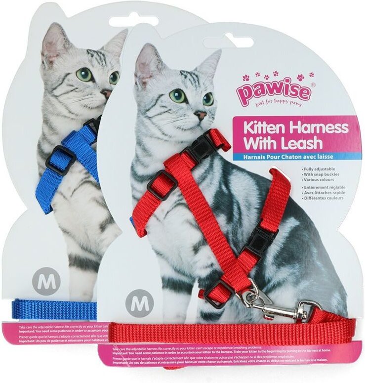 Pawise kitten harness leine rotblau