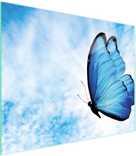 Glasschneidebrett 52x40 Schmetterling