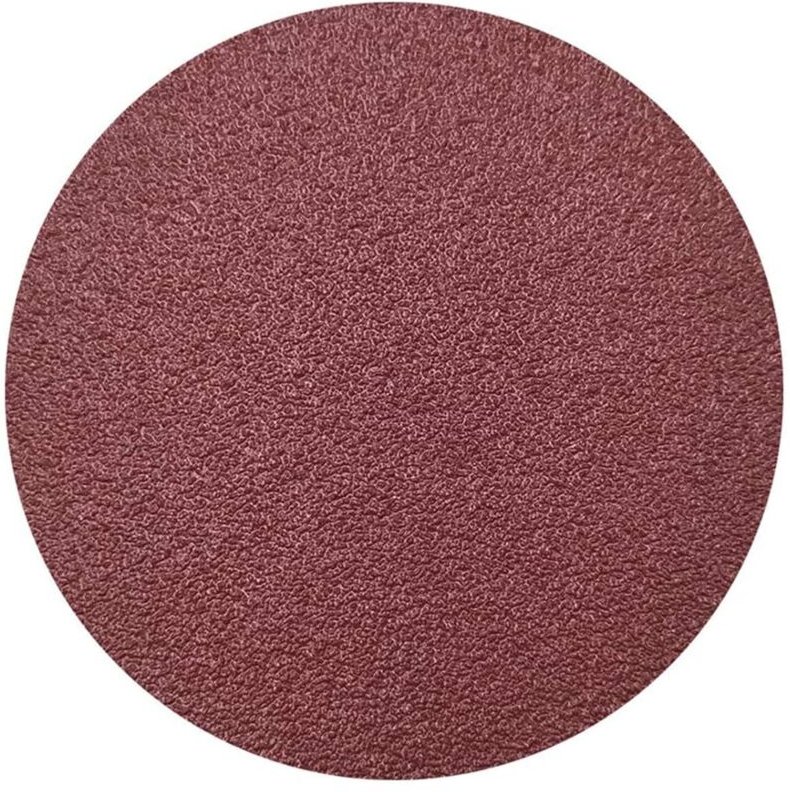 60 Stück Schleifscheibe 75mm Schleifpapierscheiben ohne Löcher Schleifscheibe Körnung 100