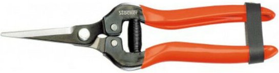 Ernte-Schere - 19cm - 79007 - Stocker