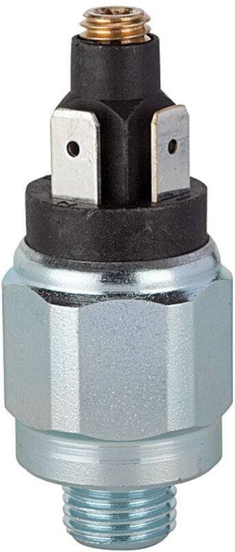 Thumbnail - Riegler Druckschalter, Standard, Stahl verz., G 1/8, 1 - 10 bar, Öffner