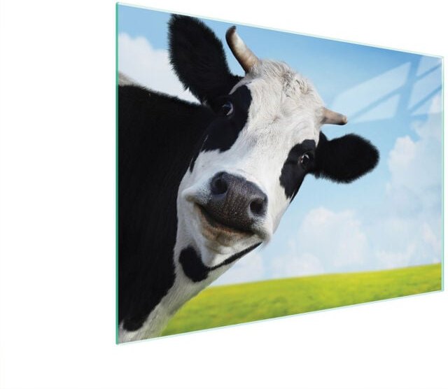 Glasschneidebrett 40x30 Kuh