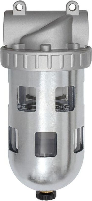 Filter »Standard«, PC-Behälter und Schutzkorb, 5 µm, bg 1, g 1/4 - Riegler