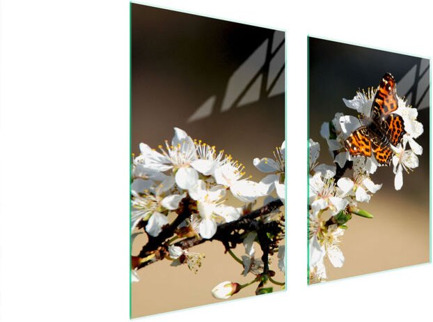 GLASSCHUTZPLATTE FÜR KÜCHE 65x52 PFLAUME