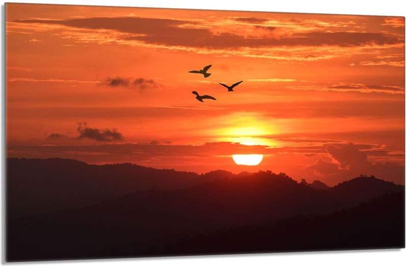 Glasschutzplatte für den Herd 80x52 Sun