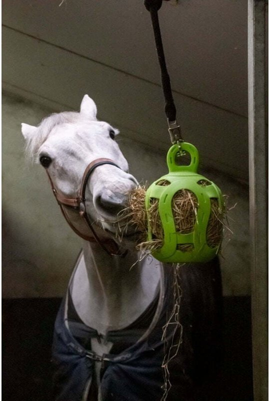 Jolly hay ball grun 20 cm