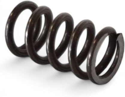 Feder agc 18 -Ersatzteil ( 10202107 ) - Festool