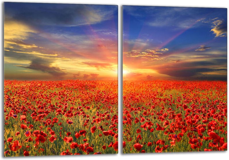 Glasschutzplatte für den Herd 2x40x52 Maki