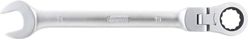 Maulschlüssel mit Ringratsche 19 mm, Gelenkkopf - Forum