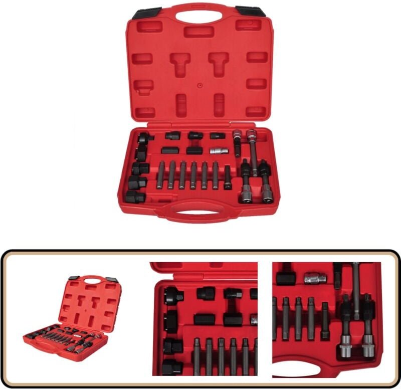 Vidaxl - Lichtmaschinen Bit und Steckschlüsselsatz 22 tlg - Lichtmaschinen Reparaturset - Autowerkzeug - Schraubendreher...