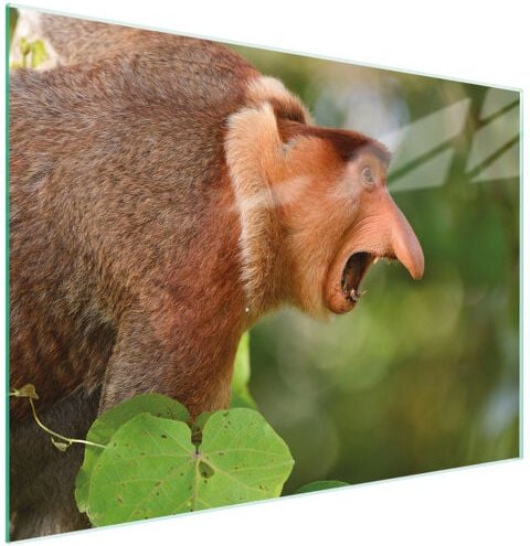 Glasschneidebrett 30x22 NOSACZ