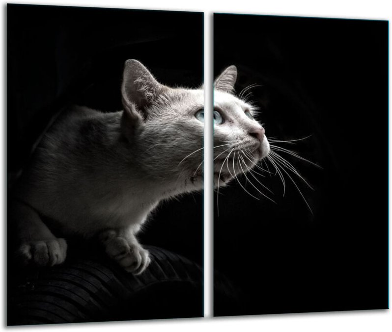 Glasscheidebrett 2x 30x52 Katze