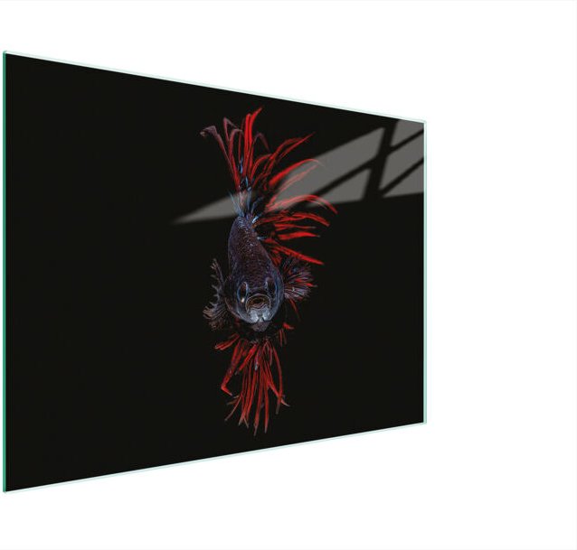 Glasschneidebrett 30x22 Fisch