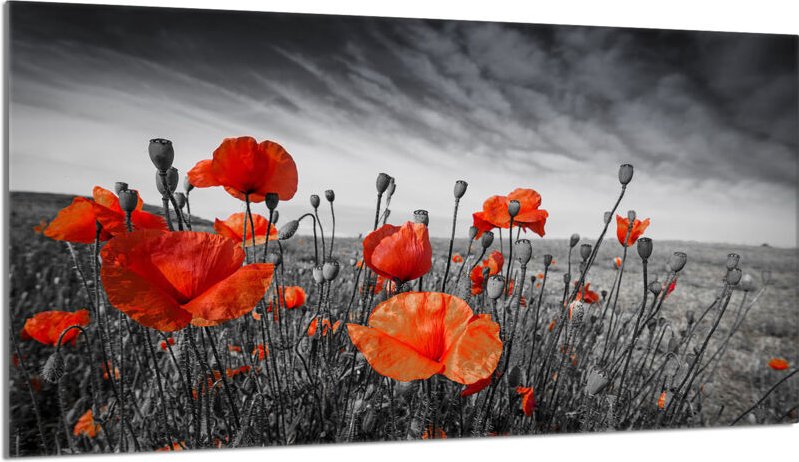 Glasschutzplatte für den Herd 90x52 Maki