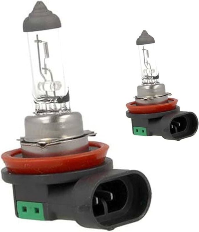2 Stück 12-V-Halogenlampen für Autos (H11 12 V 55 W PGJ19-2)