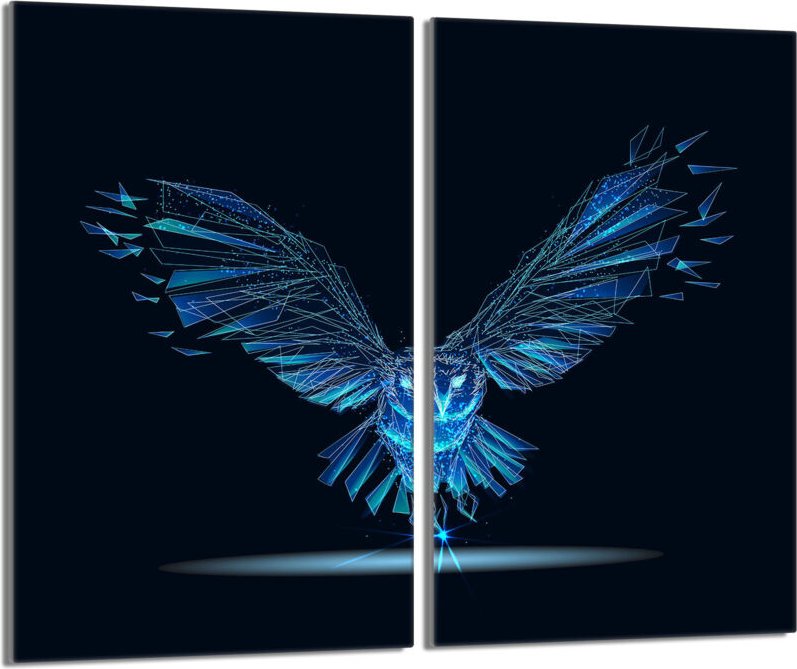 Glasschutzplatte für Herd 2x30x52 Bird